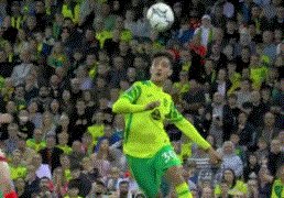 1632257087833039367.gif 836.gif